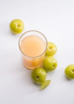 Amla, Indian Gooseberry (Phyllanthus Emblica) -Sowexotic Shop 0155d9 3b5de06aba48400d81ff751687c2b82b mv2 d 1869 2800 s 2