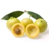 Rose Apple (Syzygium Jambos)