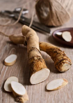 Horseradish (Armoracia Rusticana)