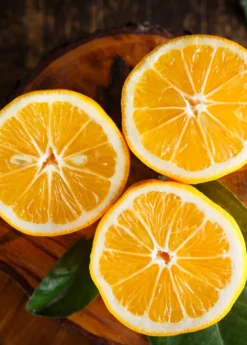 Meyer Lemon (Citrus × Meyeri)