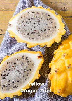Dragon Fruit Bundle: 'Edgar's Baby' Dragon Fruit & Sweet Yellow Dragon Fruit -Sowexotic Shop 1 8