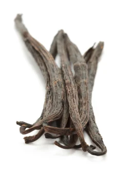 Vanilla Bean Orchid (Vanilla Planifolia) 7 Vanilla Bean Orchid (Vanilla Planifolia) -Sowexotic Shop 1 ff94045c ea65 4352 bc86 7114e691db4f