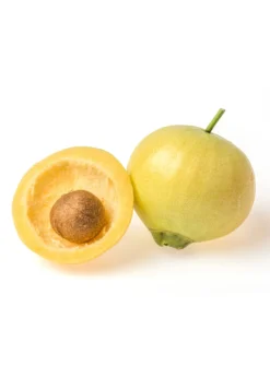 Rose Apple (Syzygium Jambos) -Sowexotic Shop 2