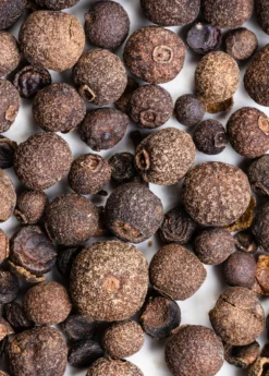 Allspice (Pimenta Dioica) -Sowexotic Shop Allspice plants for sale SowExotic.com