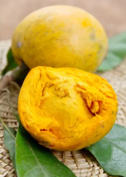 Canistel 'Arue' (Pouteria Campechiana)