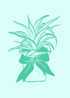 Digital Gift Card -Sowexotic Shop GiftCardGraphics 1 bf6ca498 460b 41fd bd4a 707ed9e06a12