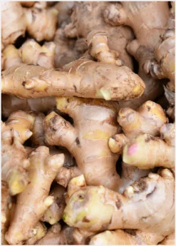 Ginger, Yellow (Zingiber Officinale) -Sowexotic Shop Ginger Roots