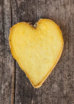 Ginger, Yellow (Zingiber Officinale) -Sowexotic Shop Ginger Zingiber officinale root heart