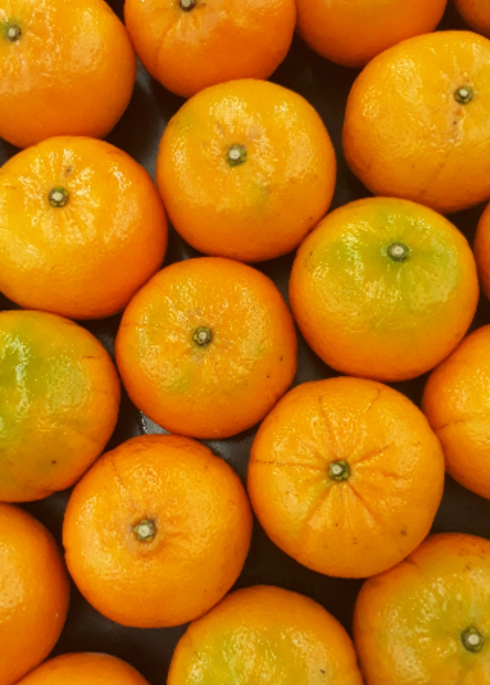 Murcott (Citrus X Nobilis)