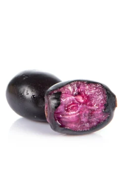 Jamun (Syzygium Cumini) -Sowexotic Shop JamunTreesforsale SowExotic.com 3