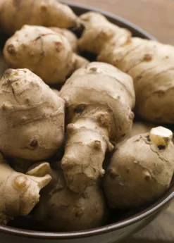 Jerusalem Artichoke (Helianthus Tubersosus) -Sowexotic Shop Jerusalemartichokeplantforsalesowexoticnursery 1