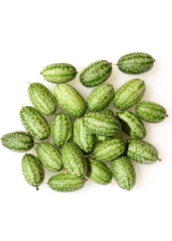 Mouse Melon (Melothria Scabra)