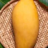 Mango 'Nam Doc Mai' (Mangifera Indica)