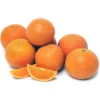 Page Mandarin (Citrus Reticulata 'Page')