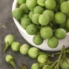 Pea Eggplant (Solanum Torvum)