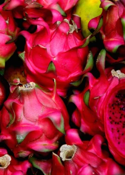 Dragon Fruit, Red 'Tricia' (Hylocereus Polyrhizus) -Sowexotic Shop Red Dragon Fruit Tricia Hylocereus costaricensis