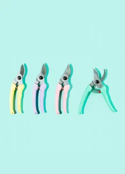 Colorful ARS Bypass Pruners