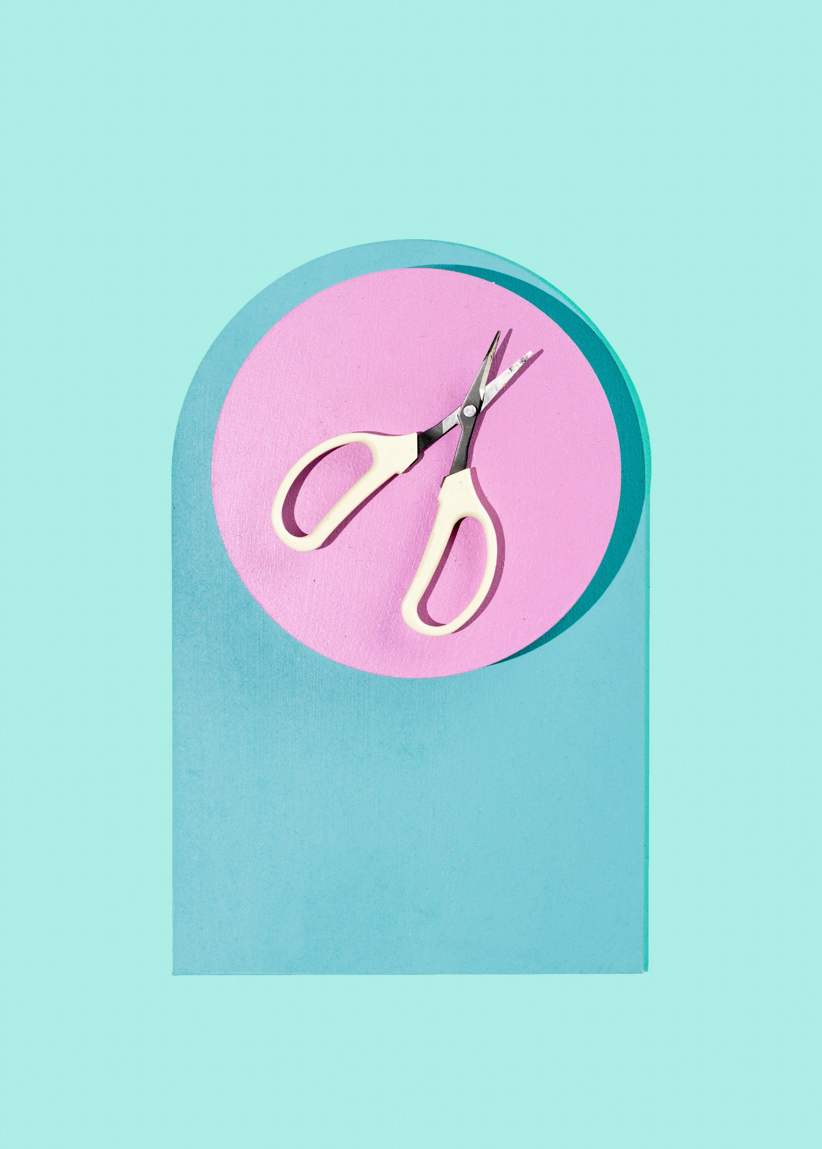 Angled Blade Fruit Scissor 1 Angled Blade Fruit Scissor