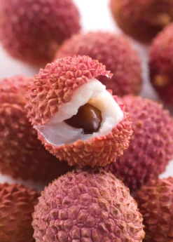 Lychee 'Brewster' (Litchi Chinensis) -Sowexotic Shop Sow Exotic Plant Nursery lychee 1