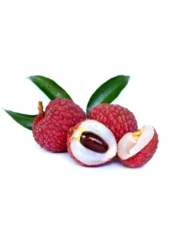Lychee 'Sweetheart' (Litchi Chinensis) -Sowexotic Shop SweetheartLycheesowexoticplantNursery 3