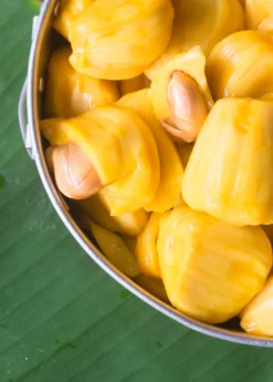 Jackfruit 'Crunchy' (Artocarpus Heterophyllus) -Sowexotic Shop crunchjackfruitfruittreeliveplantforsalesowexotic