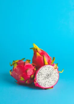 Dragon Fruit, White 'Vietnamese Jaina' (Hylocereus Undatus) -Sowexotic Shop dragonfruitpitayasowexotic