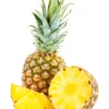 Pineapple 'Elite Gold' (Ananas Comosus)