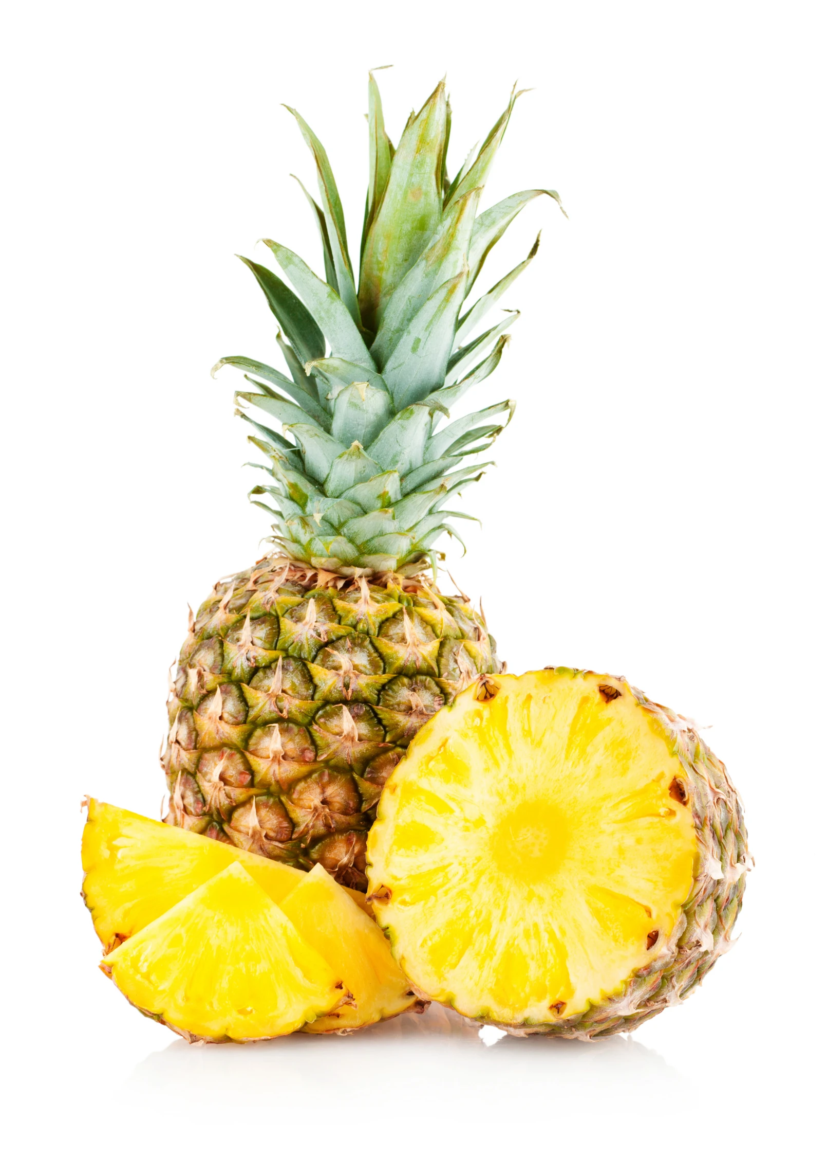 Pineapple 'Elite Gold' (Ananas Comosus) 1 Pineapple 'Elite Gold' (Ananas Comosus)