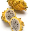 Dragon Fruit, Yellow (Selenicereus Megalanthus)