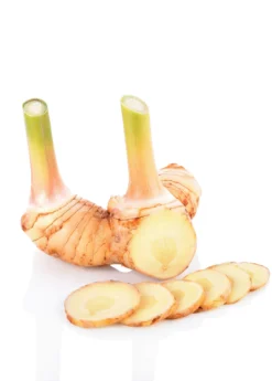 Greater Galangal (Alpinia Galanga) -Sowexotic Shop galangal root cut