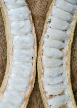 Ice Cream Bean (Inga Edulis)