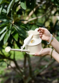 Haws Handy Watering Can -Sowexotic Shop image 1704584b 3f2c 4eb4 8be3 abe6f2aad97a