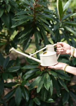 Haws Handy Watering Can -Sowexotic Shop image 879a1001 4c17 4df3 ab35 be039dbdd8b0