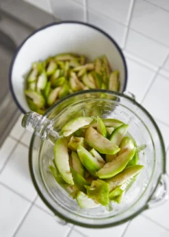 June Plum (Spondias Dulcis) -Sowexotic Shop juneplymsowexotic 3