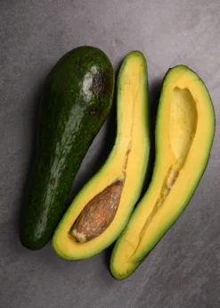Avocado 'Russel' (Long Neck!) (Persia Americana)