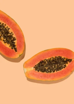 Papaya, 'Dwarf Red Lady' (Carica Papaya) -Sowexotic Shop sowexoticpapaya 1