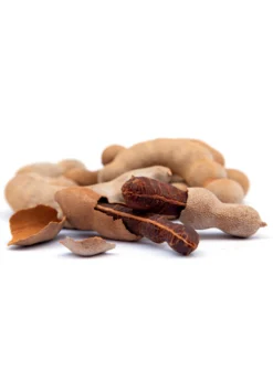 Tamarind (Tamarindus Indica) -Sowexotic Shop sweetthaitamarindsowexotic