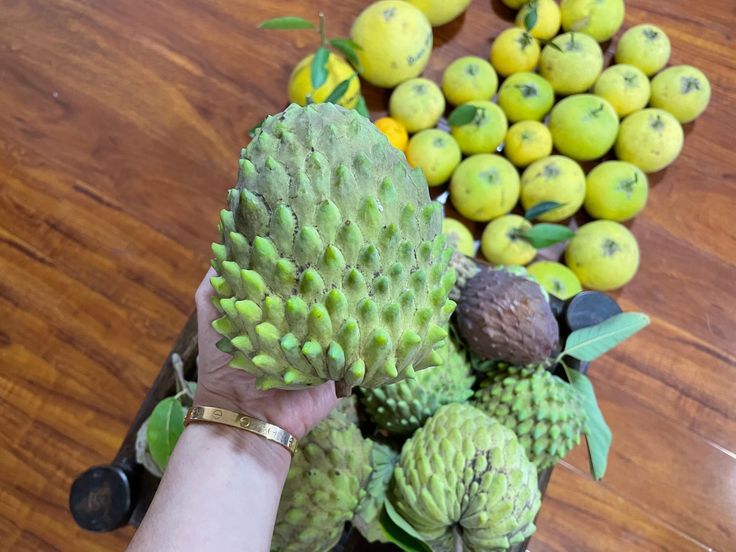 Sowexotic Shop -Sowexotic Shop Atemoya ‘Geffner scaled